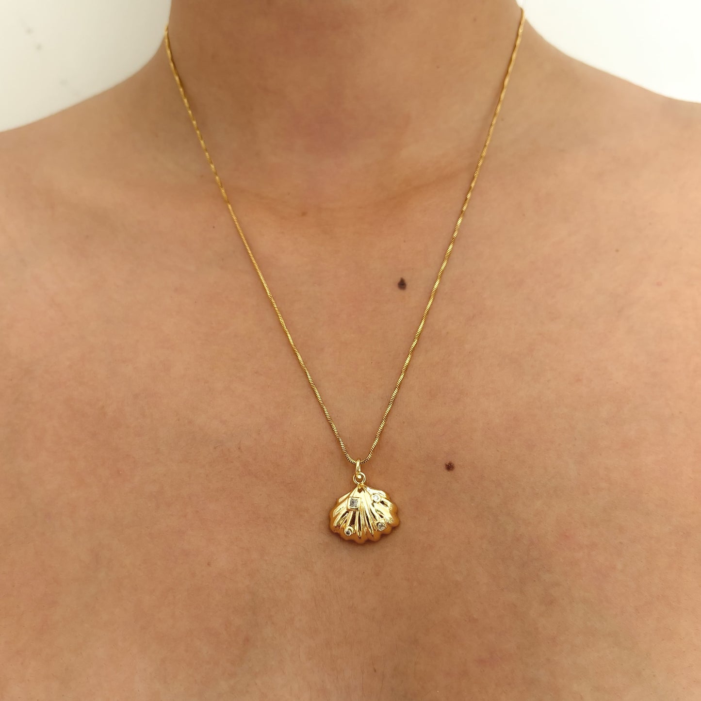 Cadena Concha de Mar