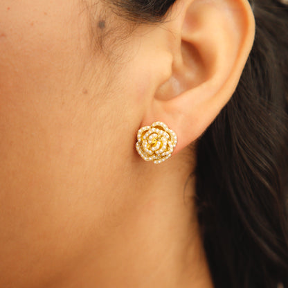 Topos Rosa Circon