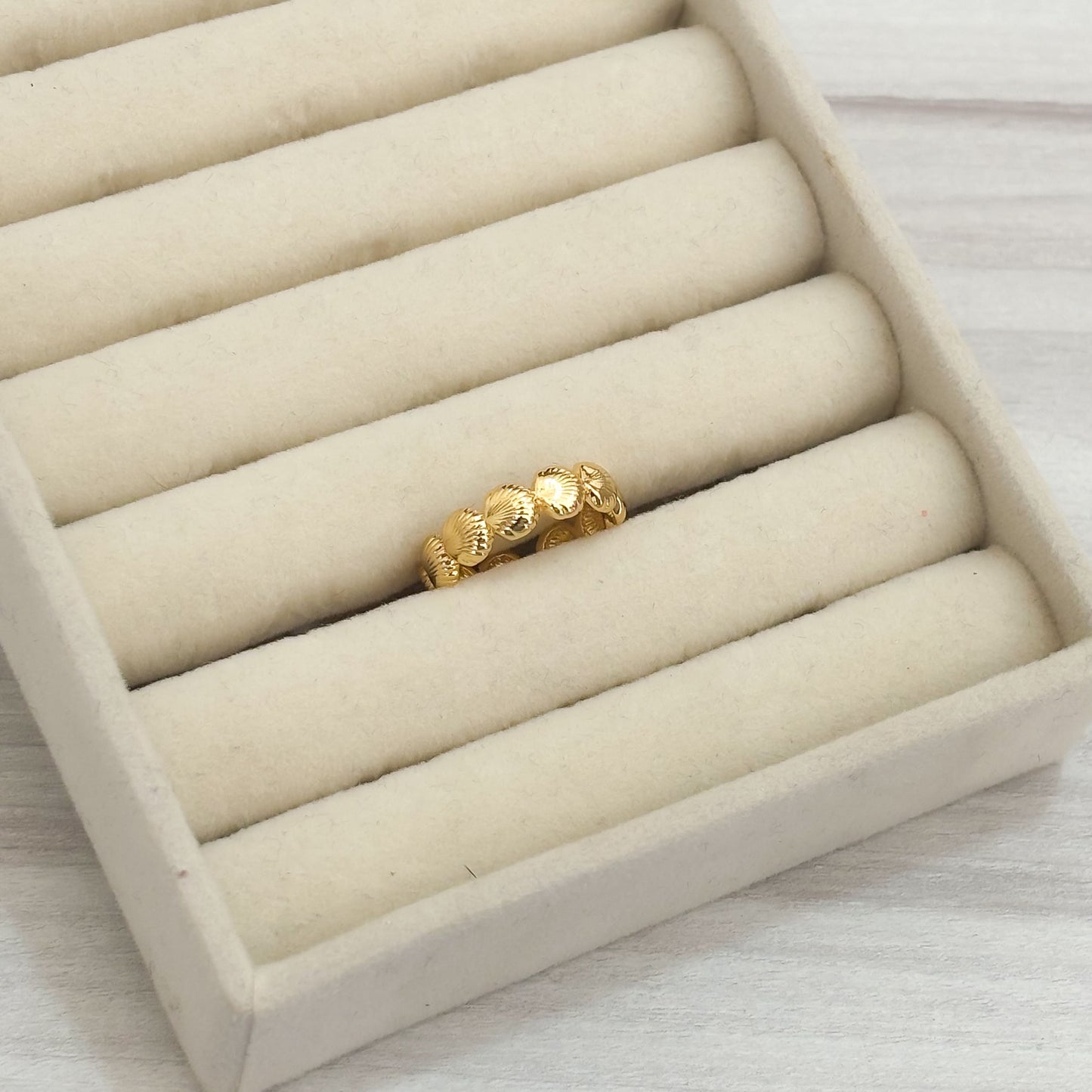 Anillo Concha De Mar Continua